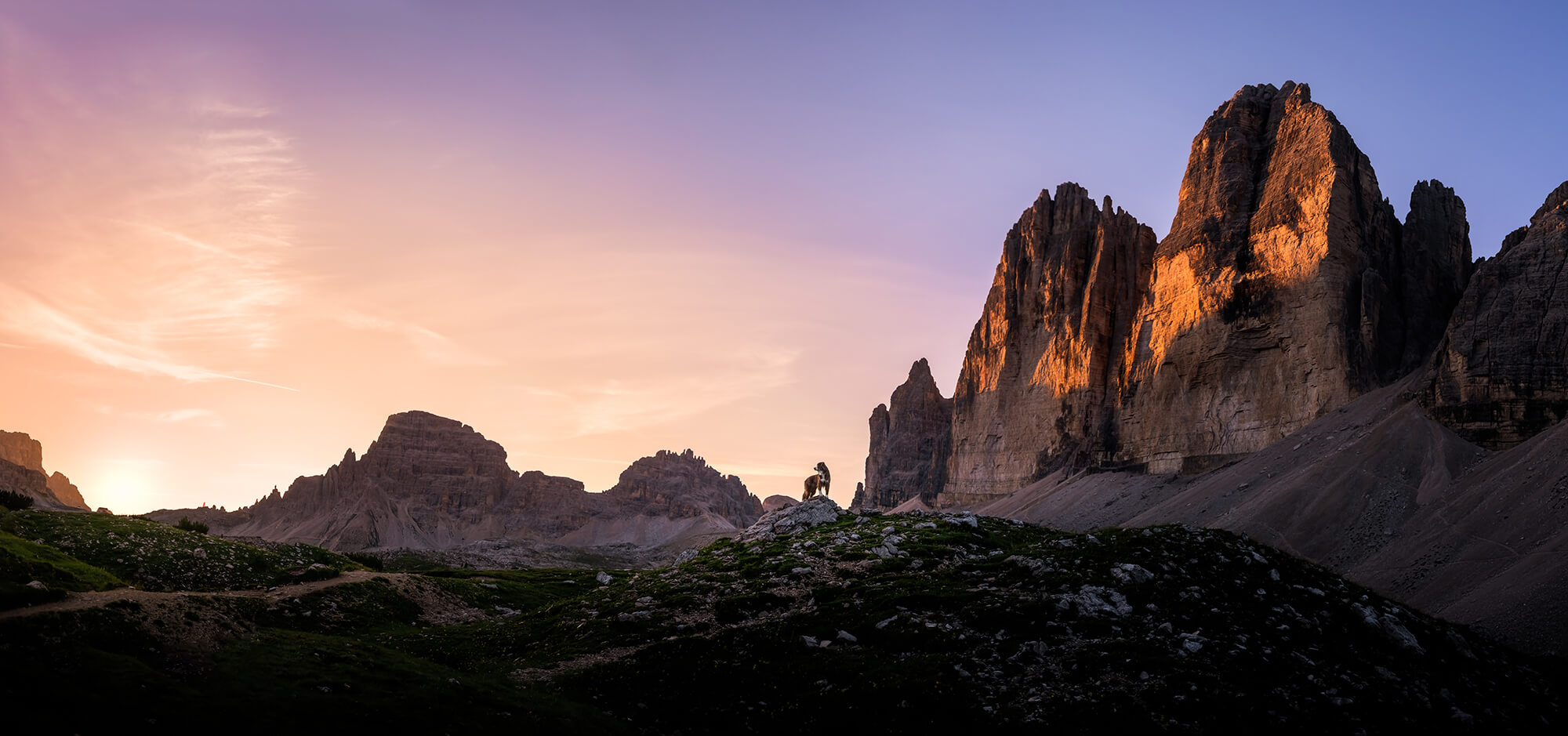 rhean-nellen-tierfotoshooting-fotoshooting-berge-hund-sonnenaufgang