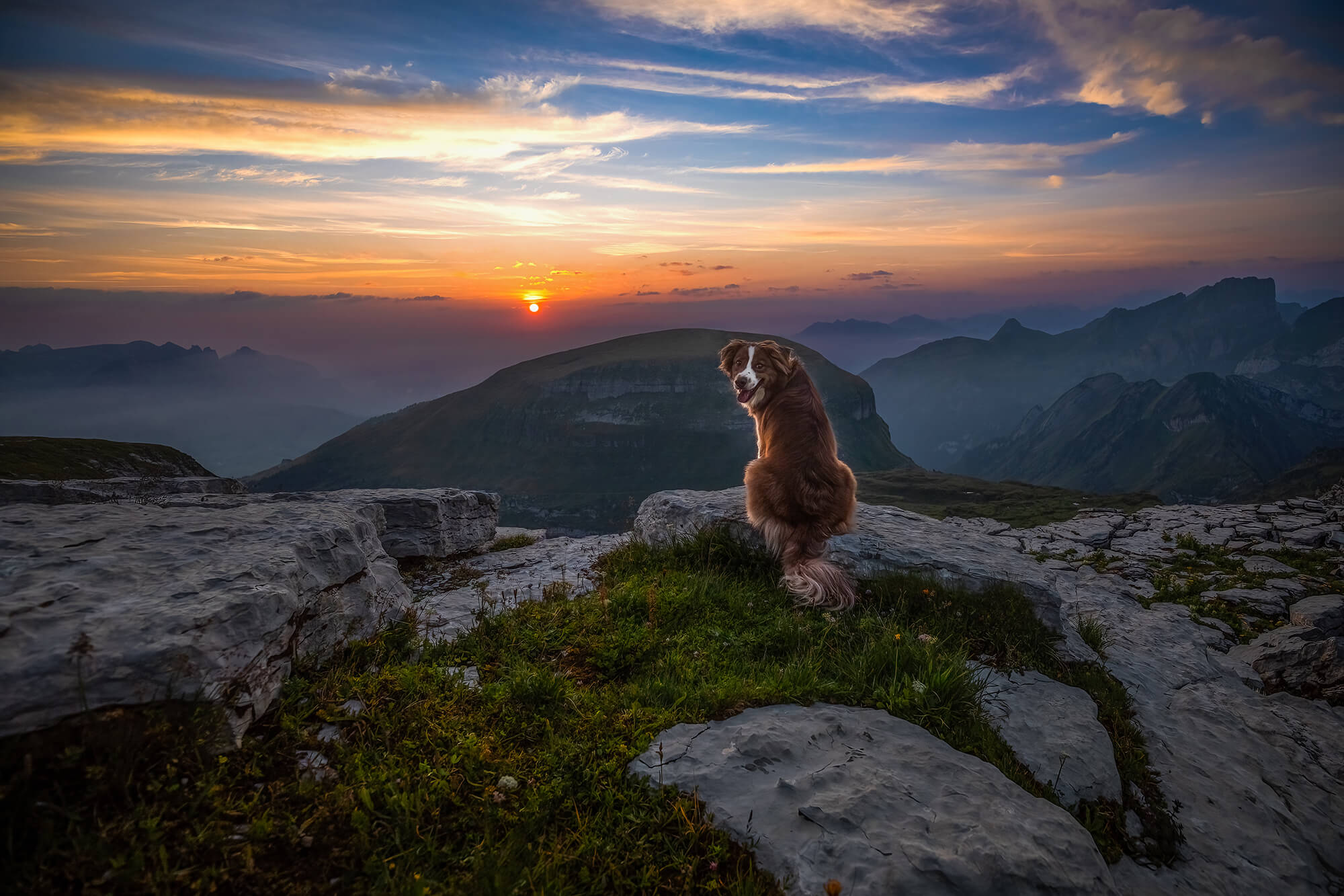 Hundefotoshooting zum Sonnenaufgang auf dem Chäserrugg